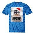 Dear Santa Raccoon Tie-Dye T-Shirt - Festive Christmas Fun Blue Tie-Dye