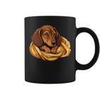 Dog Dachshund Official Favourite Sleeping Dachshund Tassen