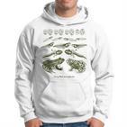 Frog Tadpole Life Cycle Metamorphosis Biology Science Kapuzenpullover