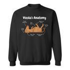 Anatomy Of Aizsla Sweatshirt