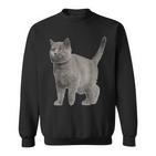 British Short Hair Cat Cat Cat Lovers Sweatshirt