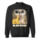 Cat Ehm Was Zum Sigma Cat Meme Sweatshirt