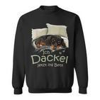 Dog Dachshund Official Sleep I Dachshund Now Ins Bed Sweatshirt