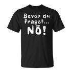 Before You Ask Nö T-Shirt