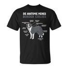 Border Collie Anatomie Collie Dog Holder S T-Shirt