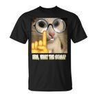 Cat Ehm Was Zum Sigma Cat Meme  T-Shirt