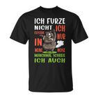 Ich Furze Nicht Ich Wistere Fartzen T-Shirt