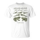 Frog Tadpole Life Cycle Metamorphosis Biology Science T-Shirt