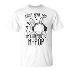 Ich Kann Dich Nicht Hören Ich Hörre Zu Kpop Rabbit K-Pop Gray T-Shirt