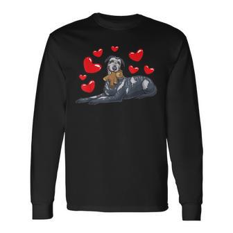 Irish Wolfhound Dog With Stuffed Animal And Many Hearts Long Sleeve T-Shirt - Monsterry