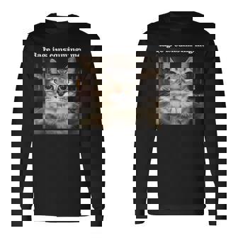 Silly Cat Rage Is Consuming Me Silly Staring Cat Meme Long Sleeve T-Shirt - Seseable