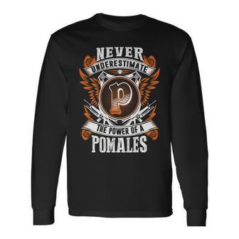 Never Underestimate The Power Of Pomales Pomales Name Long Sleeve T-Shirt - Thegiftio UK
