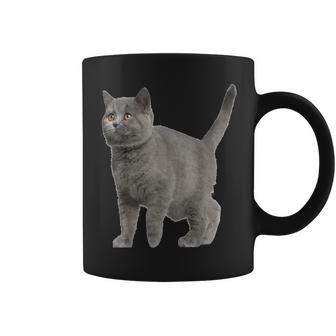 British Short Hair Cat Cat Cat Lovers Tassen - Geschenkecke