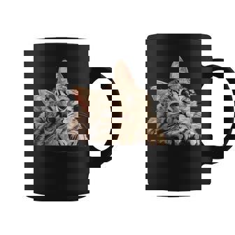 Tabby Cat Mom Dad Pet Shop Tabby Cats Kitten Tabby Cat Graphic Print Coffee Mug - Monsterry