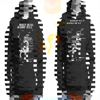 Anatomía De Beagle Dulce Beagle Sudadera - Regaloses