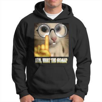 Cat Ehm Was Zum Sigma Cat Meme Kapuzenpullover - Geschenkecke