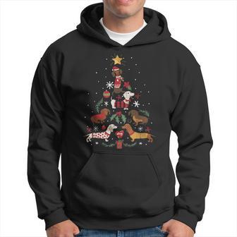 Dachshund Through The Snow Dog Christmas Tree Kapuzenpullover - Geschenkecke