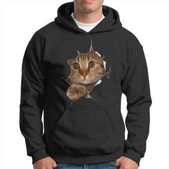 Gatito Lindo Desgarro Amante De Los Gatos Divertido Gatos Sudadera - Regaloses