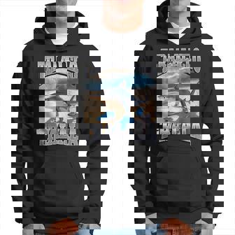 Gráfico De Memes De Tralalelo Tralala Divertido Tiburón Italiano Brainrot Sudadera - Regaloses