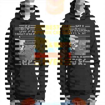 Mejor Sphynx Cat Dad Ever Retrointage Sunset Sudadera - Regaloses