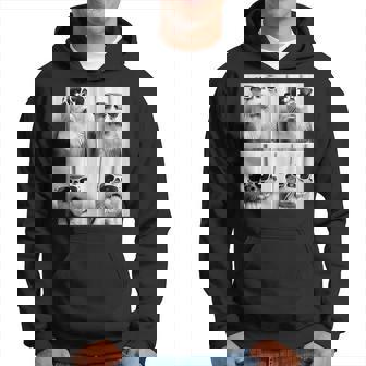 Otter In Gafas De Sol Sudadera - Regaloses