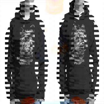 Perro Cairn Terrier Sudadera - Regaloses