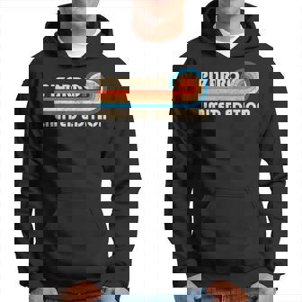 Pizarro Surname Retrointage 80S 90S Birthday Reunion Sudadera - Regaloses