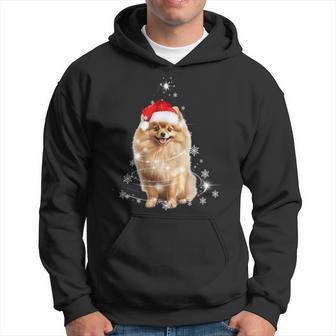 Pomeranian Christmas Tree Santa Hat Lights Jumper Kapuzenpullover - Geschenkecke