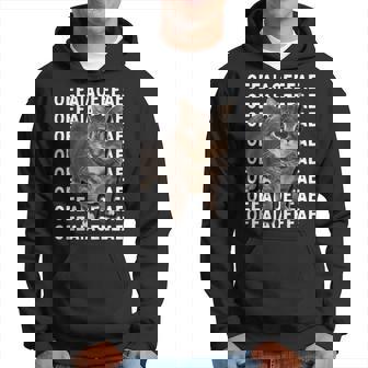 Spinning Cat Meme Oiiaoiia Cat Meme Kapuzenpullover - Geschenkecke