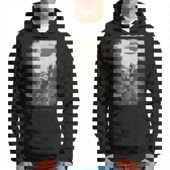 Vintage Hipster Retro Raccoon Streetwear Alien Ovni Mapache Sudadera - Regaloses