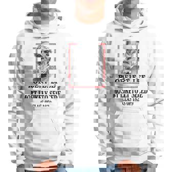 General E Lee Gettysburg Más Probable De Seccionar Robert E Lee Sudadera - Regaloses