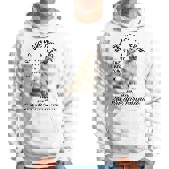 Sacré De Birmanie Chaton Cadeau Humour Chat Birman Sweat à capuche - Cadeauxyz