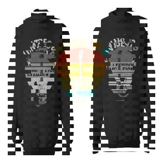 1965 Guitar Pick Vintage Sweatshirt | Mazezy