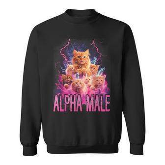 Alpha Male Lustige Kätzchen Meme Cute Cat Humorous Sweatshirt - Geschenkecke