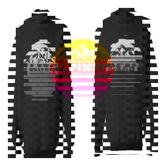 Alpinist Mountaineering Hiking Alps Retro Outdoor Sports Fun Sweatshirt - Monsterry