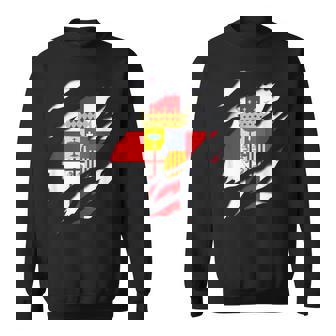 Bandera Zaragoza Provincia Efecto Tridimensional 3D Aragon Camisa de entrenamiento - Regaloses