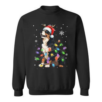 Bernese Mountain Dog Christmas Jumper Xmas Lights Sweatshirt - Geschenkecke