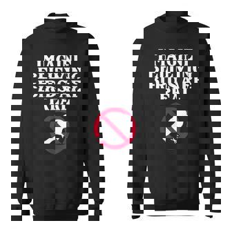 Birds Are Fake Real Government Spy Libertarian Anarchist Lie Sweatshirt - Monsterry