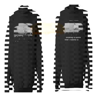 Brother May I Have Some Oats Meme Classique Paire De Cochons Sweater e - Cadeauxyz