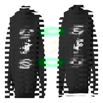 Cat Falls Through Portal For Kitten And Cats Lovers Sweatshirt - Monsterry
