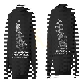 Conspiracy Cat Tin Foil Hat Government Men Sweatshirt - Monsterry