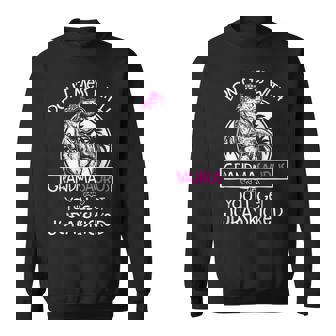 Dinosaur Don't Mess Grandmasaurus Women's Dinosaur Theme Black Small Sweatshirt - Seseable
