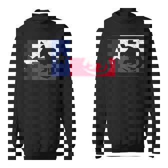 Drapeau Du Texas Armadillo Sweater e - Cadeauxyz