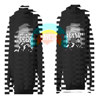 Effervescent Vintage Retro Sunset Sweatshirt - Monsterry