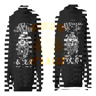 Egypte Basted Cat Mystery Of Sphnix Solved Ancient Egypt Sweater e - Cadeauxyz