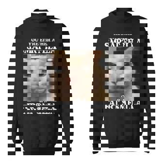 Eres Un Tipo Inteligente O Un Meme De Gato Divertido De Pedo Smella Camisa de entrenamiento - Regaloses