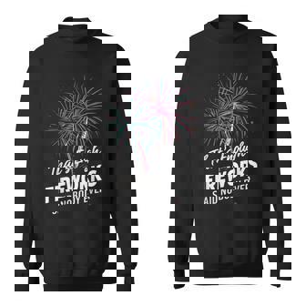 Fireworks Director That's Enough Fireworks Said Nobody Ever Sweatshirt - Monsterry