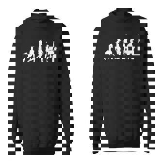 Gamer Evolution Gaming Programmer Gamer Sweatshirt - Seseable
