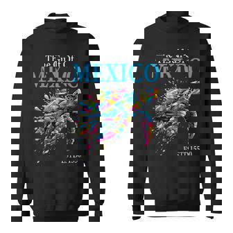 Gulf Of Mexico Turtle Sweatshirt - Seseable
