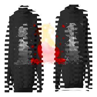 Heart Dachshund Dog Lover Christmas Valentines Day Sweatshirt - Monsterry